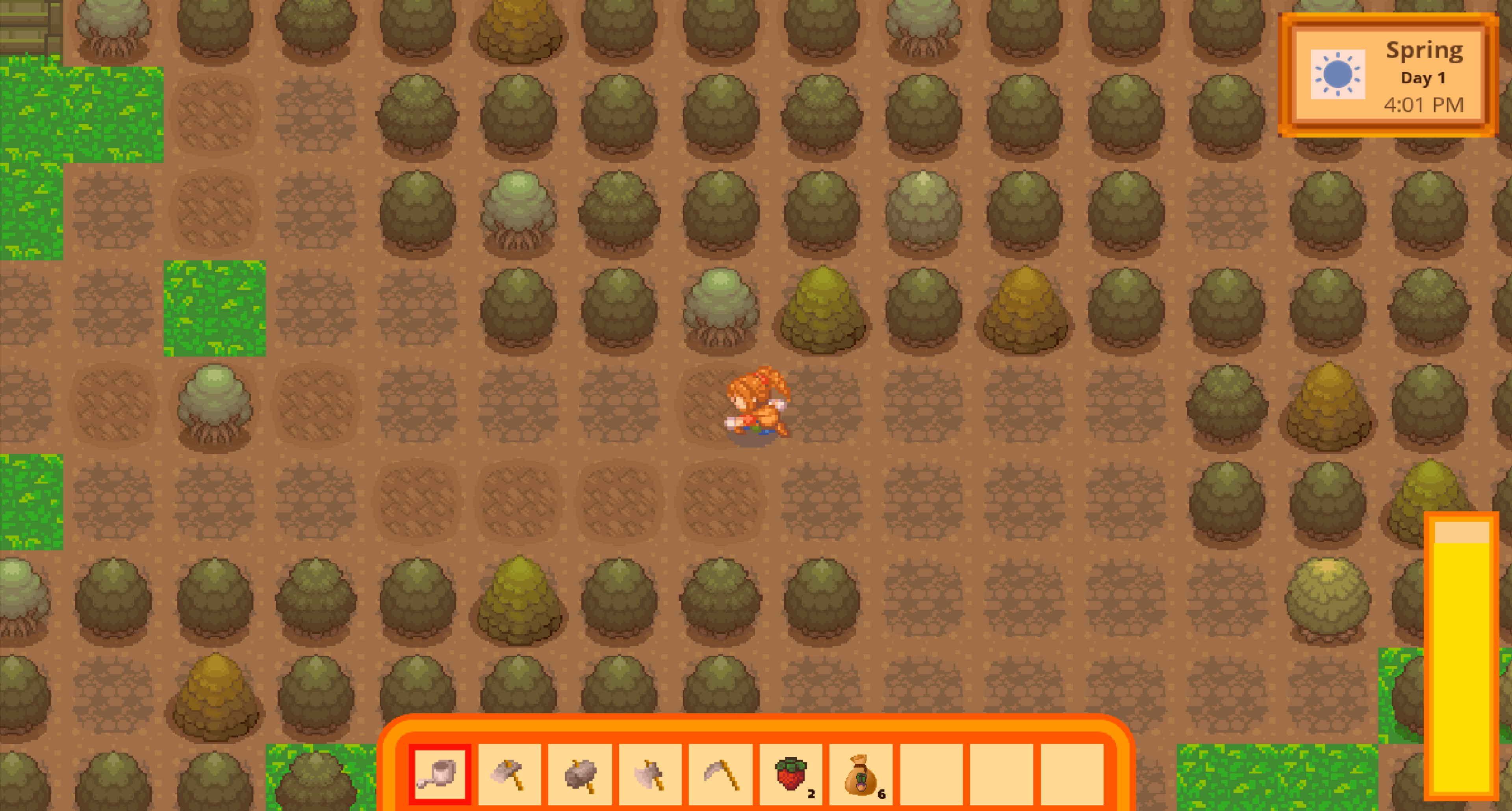 Forest